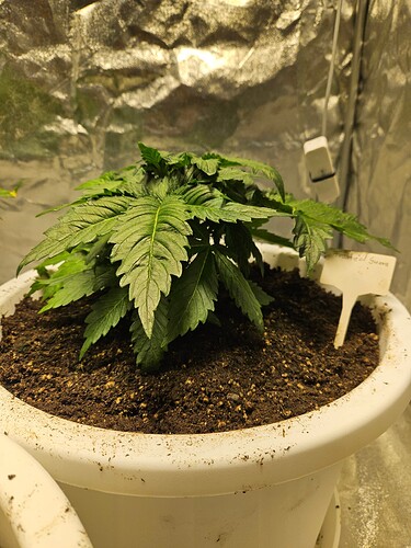 Growreport Bild 17