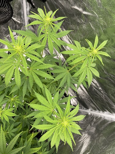 Growreport Bild 4