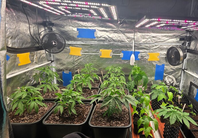 Growreport Bild 8