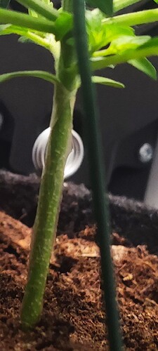 Screenshot_2024-06-12-19-40-18-109_com.miui.gallery