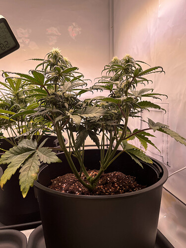 Growreport Bild 15