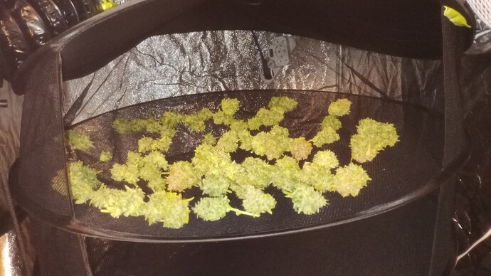 Growreport Bild 4