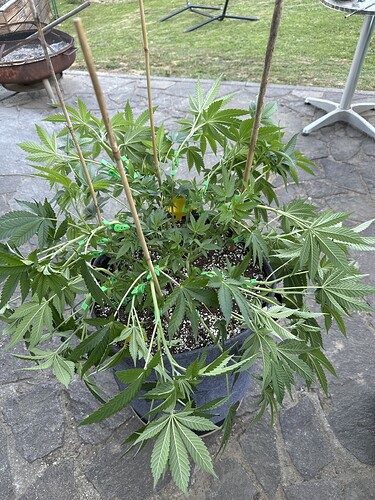 Growreport Bild 13