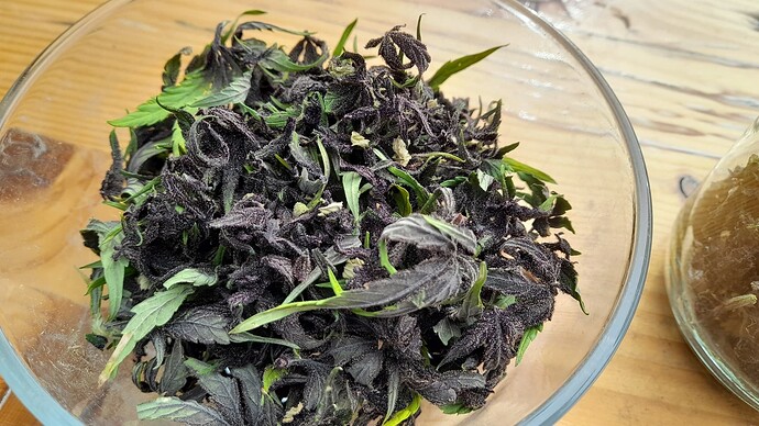 Growreport Bild 4