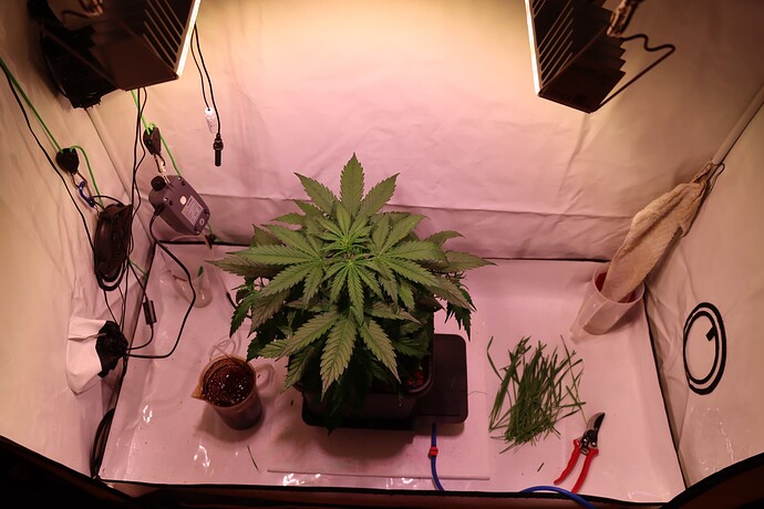 Growreport Bild 15