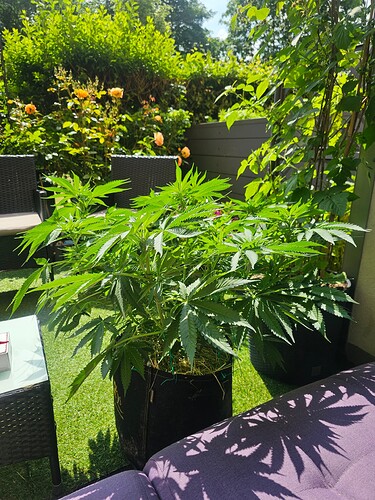 Growreport Bild 9