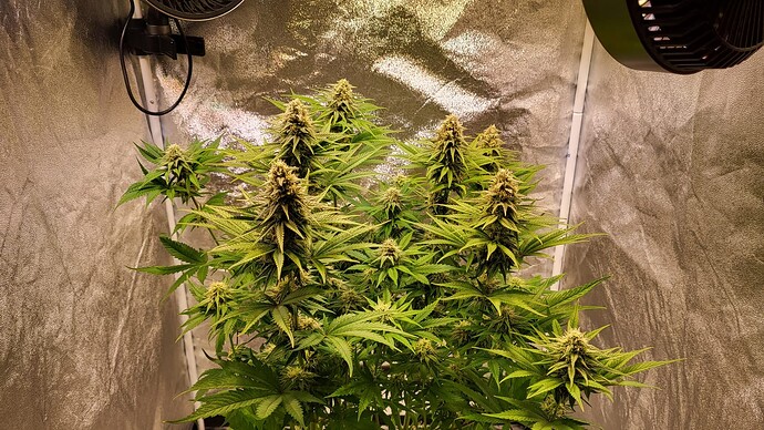 Growreport Bild 14