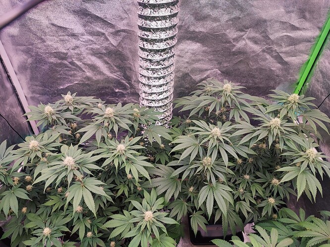 Growreport Bild 22