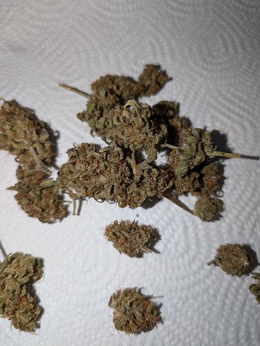 Growreport Bild 13