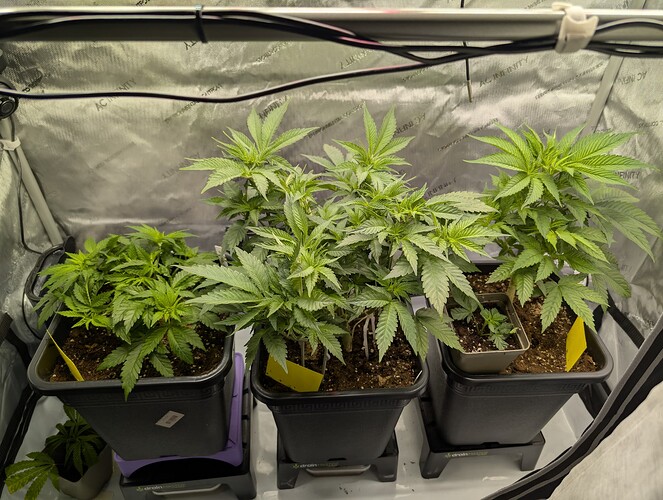Growreport Bild 5