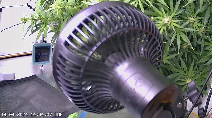 Growreport Bild 4
