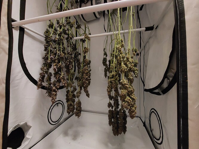 Growreport Bild 12