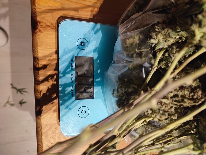 Growreport Bild 2