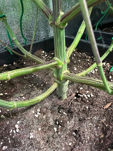 Growreport Bild 19