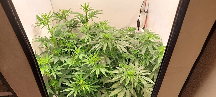 Growreport Bild 6