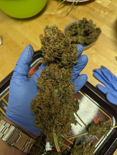 PXL_20240612_204646320