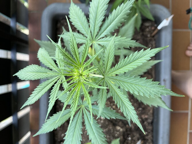 Growreport Bild 8