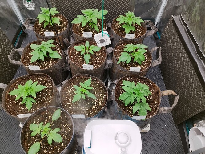 Growreport Bild 8