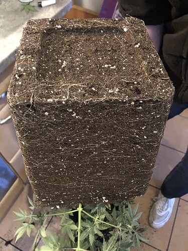 Growreport Bild 9