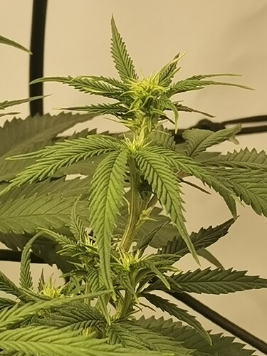 Growreport Bild 14