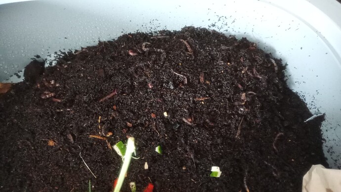 Growreport Bild 25