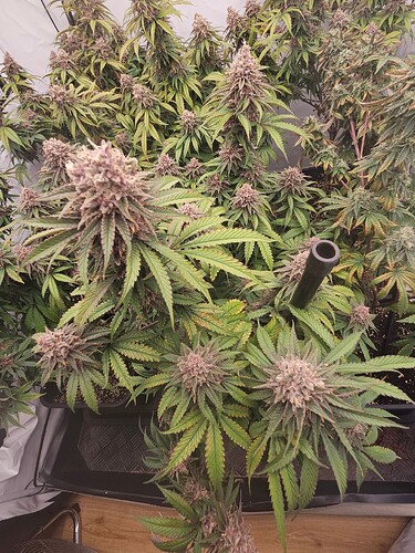 Growreport Bild 14