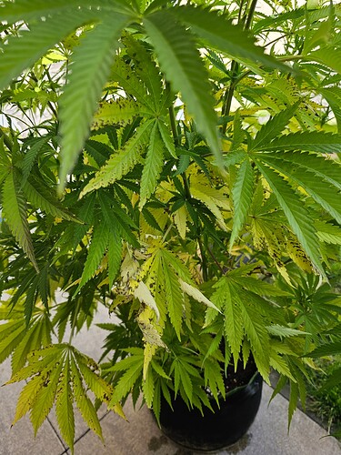 Growreport Bild 2