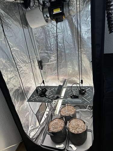 Growreport Bild 6
