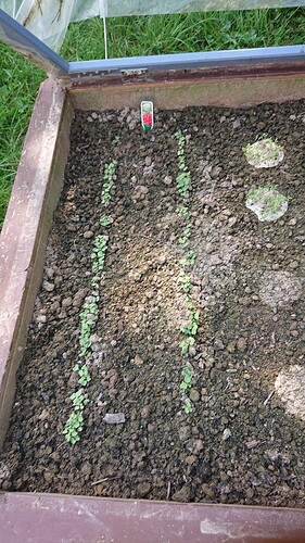 Growreport Bild 29