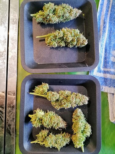 Growreport Bild 24