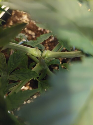 Growreport Bild 5