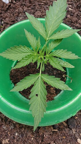 Growreport Bild 19