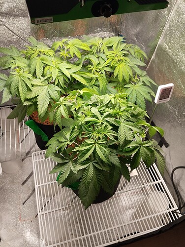 Growreport Bild 9