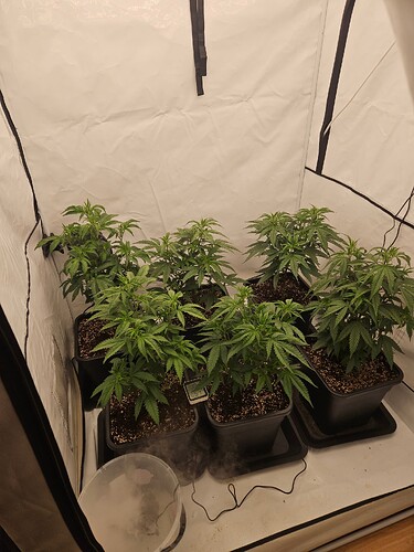 Growreport Bild 1