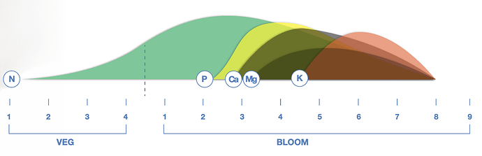 grafik