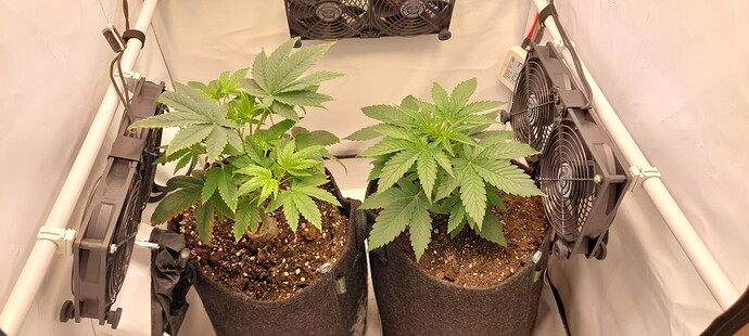 Growreport Bild 5