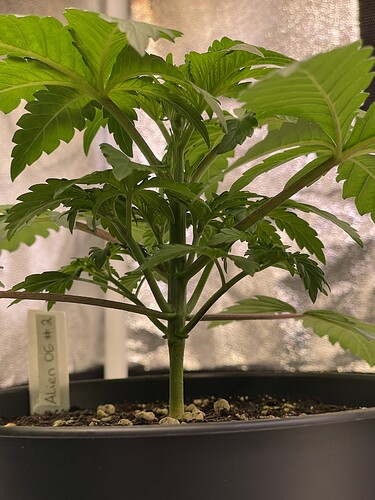Growreport Bild 5