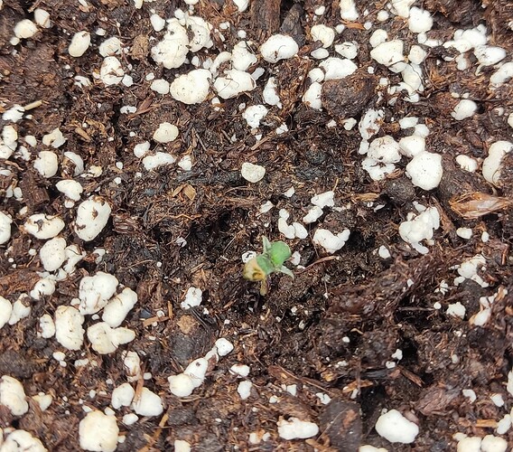 1728372831592 - Kopie