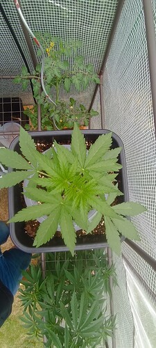 IMG_20240710_151605