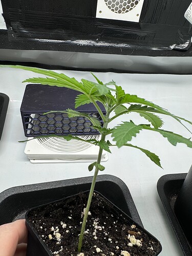 Growreport Bild 18
