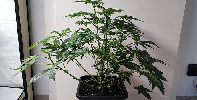 Growreport Bild 5
