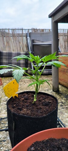 Growreport Bild 1