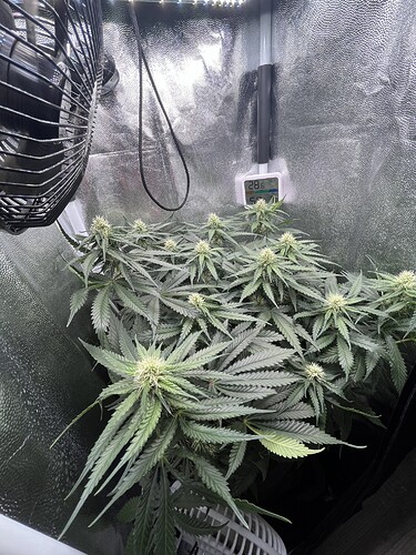 Growreport Bild 12