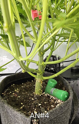 Growreport Bild 11