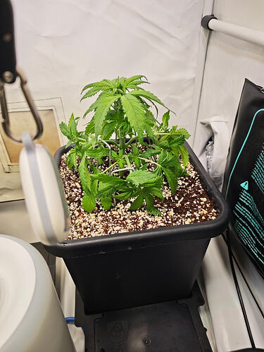 Growreport Bild 2