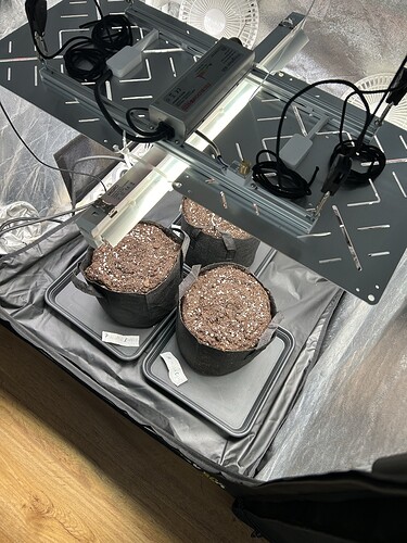 Growreport Bild 7