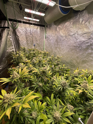 Growreport Bild 27