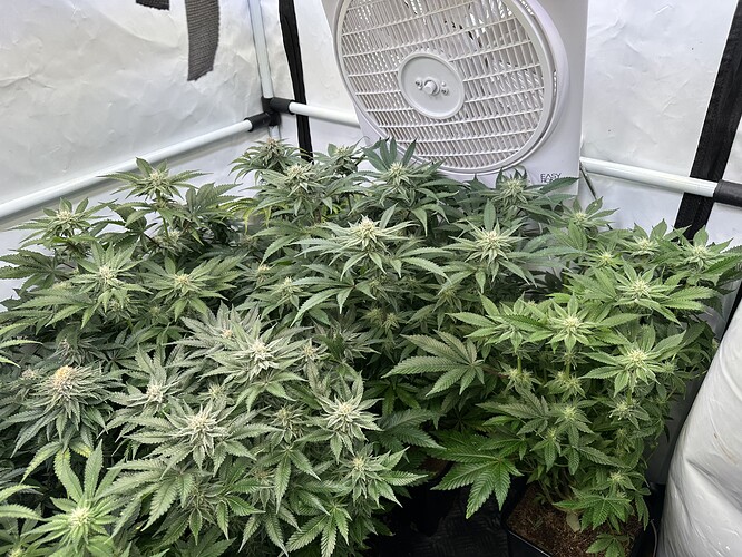 Growreport Bild 1