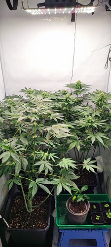 Growreport Bild 11