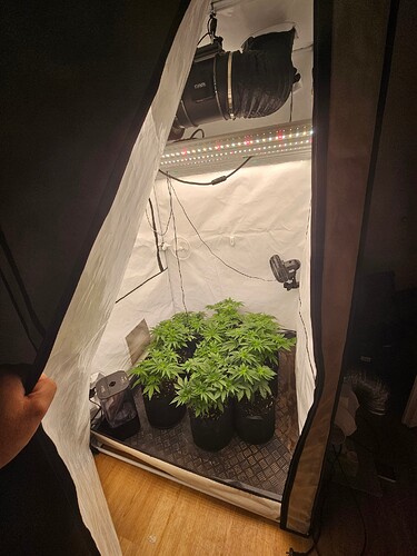 Growreport Bild 1